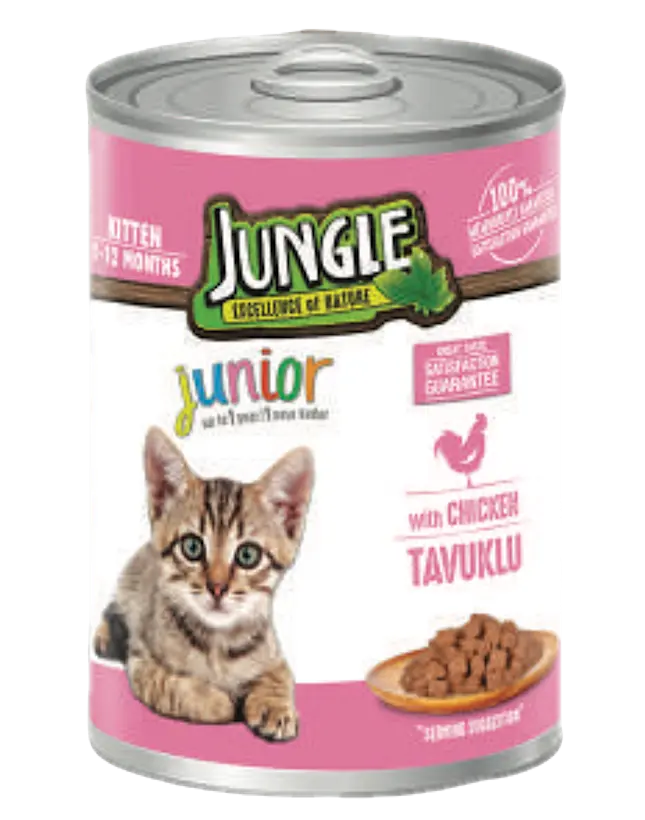 Jungle Yavru Kedi Konservesi 400gr*12